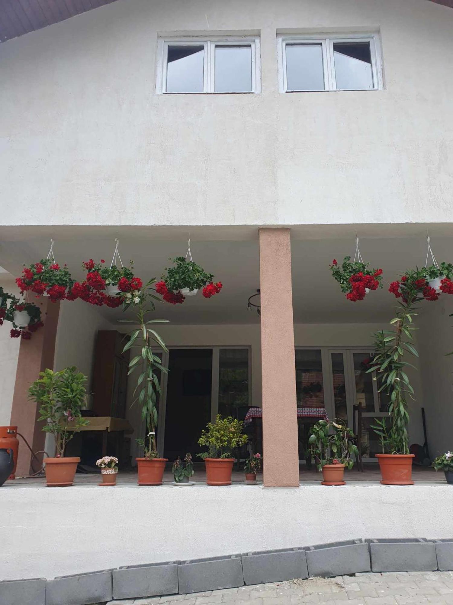 Hotel Casa Maksai Sovata Exteriér fotografie