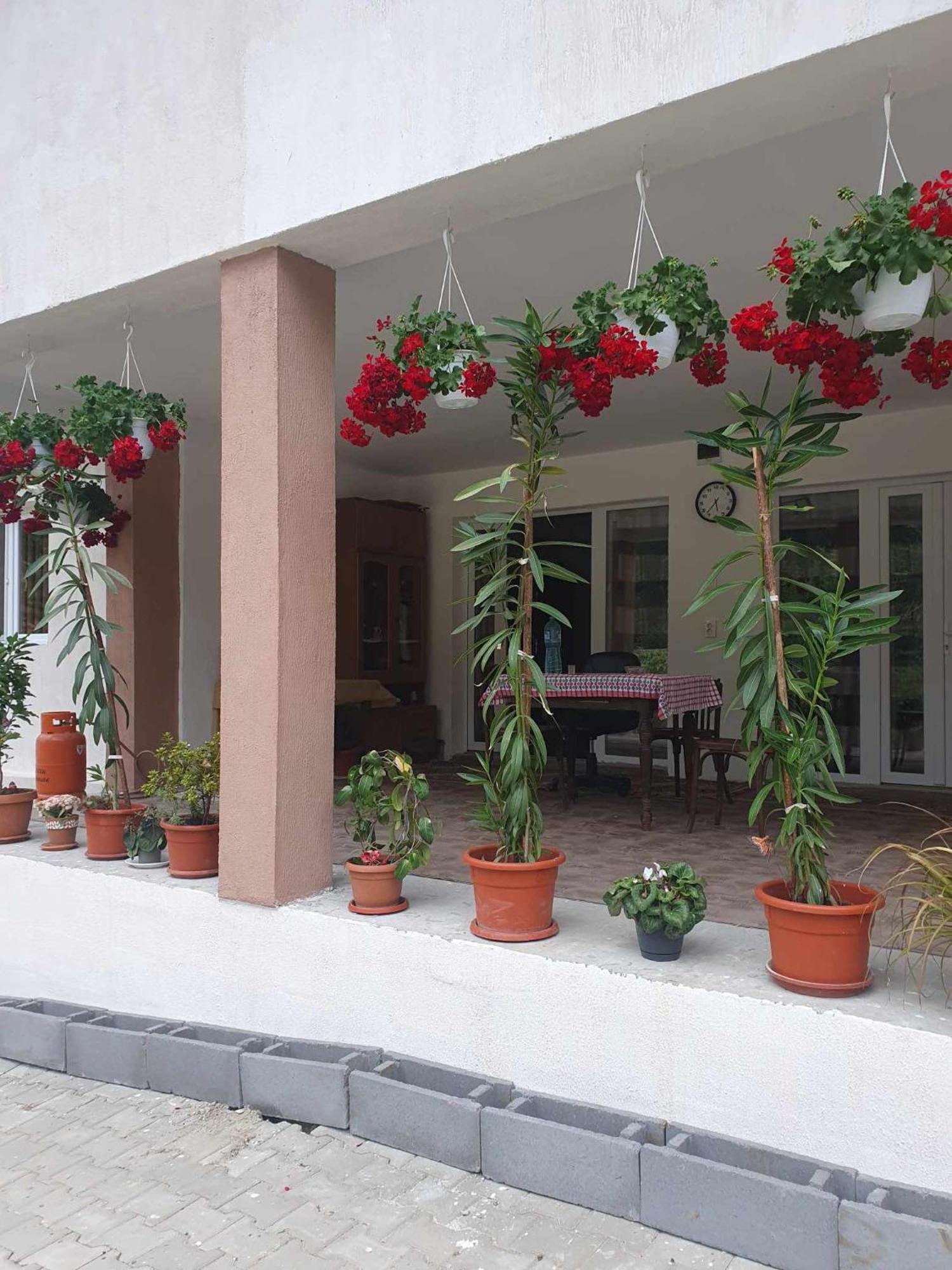 Hotel Casa Maksai Sovata Exteriér fotografie