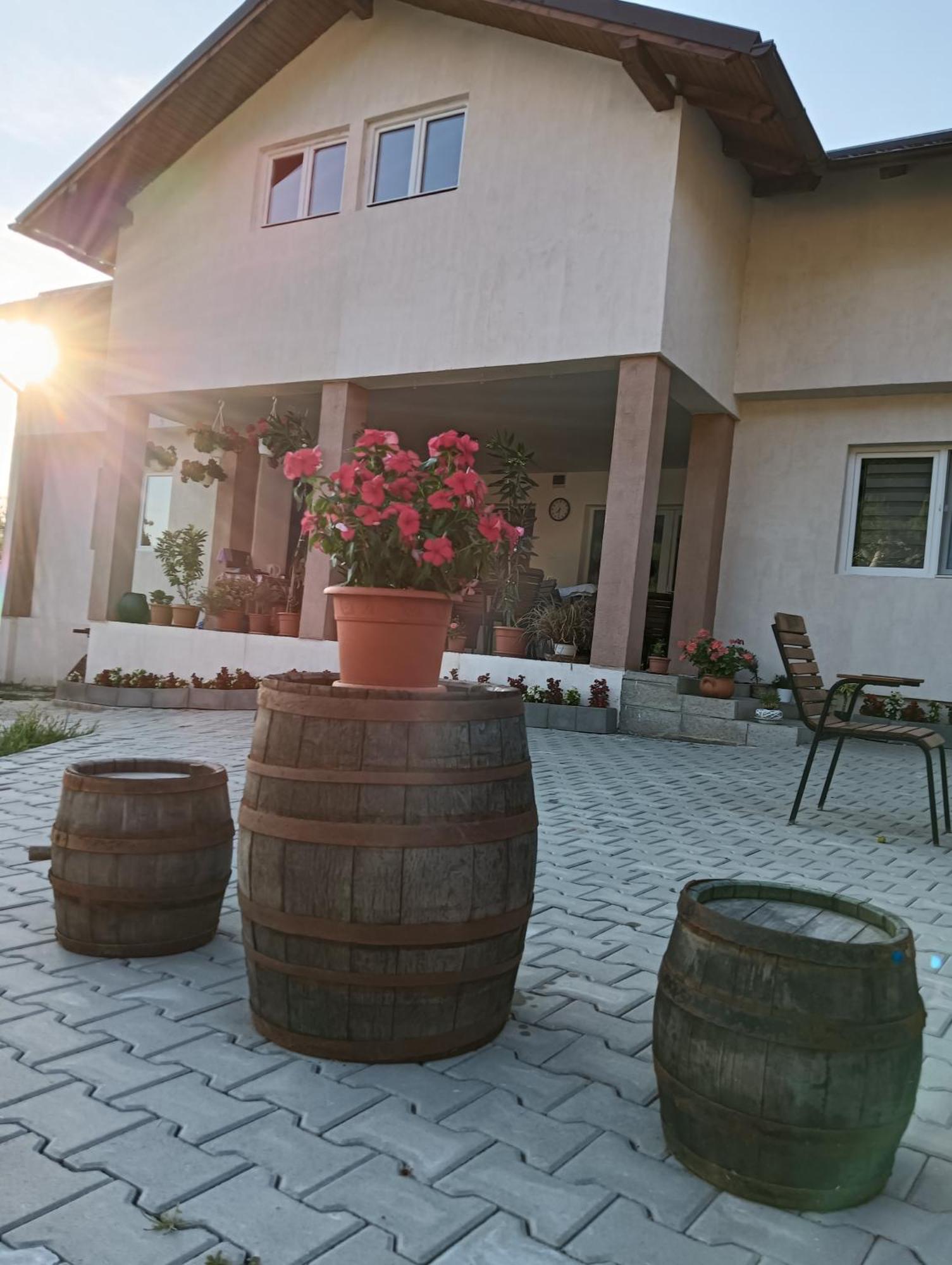 Hotel Casa Maksai Sovata Exteriér fotografie